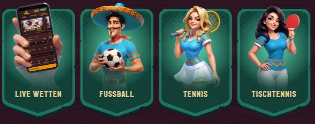 5gringos erfahrung